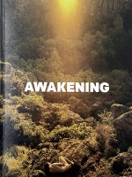 https://mireillegros.flake.work/files/gimgs/th-21_2023 awakening paris-web.jpg